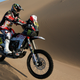 Illustration for article titled Your Dakar Rally Gallery: Day Four